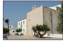 Trobada de corals a Formentera