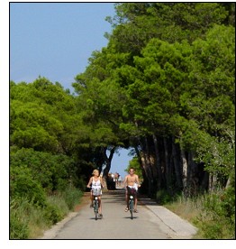 Cimera Mundial de l'Ecoturisme