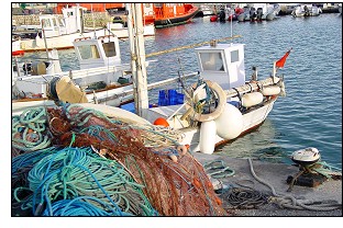 Help to protect marine ethnological heritage of Eivissa and Formentera